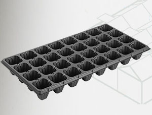 Seeding Tray 32 holes